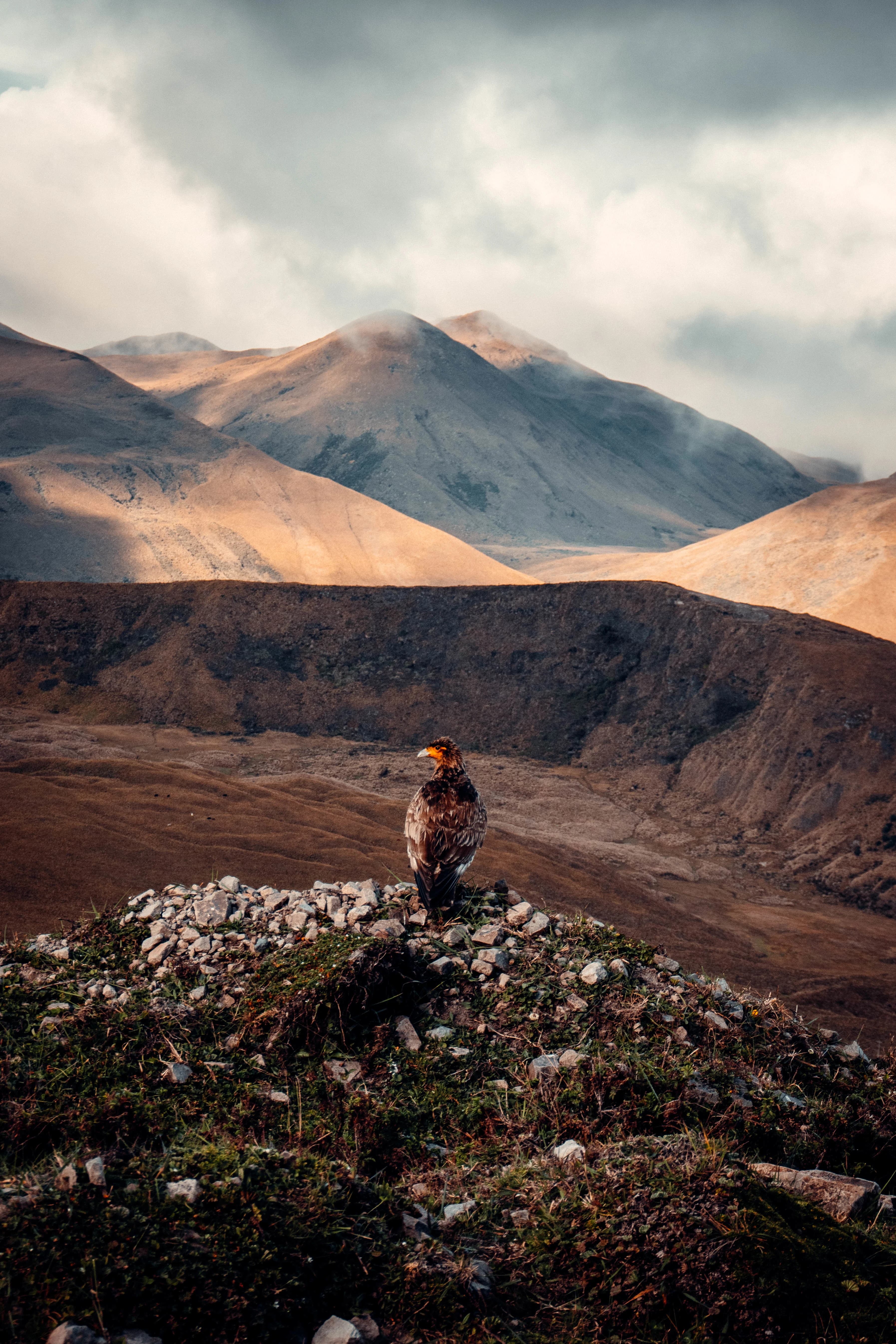 Editorial XIV — Photography, Doomsday MG, 2024